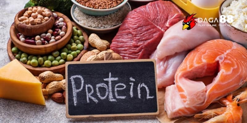 Chế Độ Ăn Trước Khi Ra Trận - Bí Quyết Cho Chiến Kê Bùng Nổ Cùng DAGA88 3 Món ăn trước trận giúp tăng cường sức mạnh và tinh thần chiến đấu