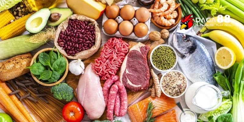 Dinh dưỡng cho gà đá - Bí quyết nuôi dưỡng sức mạnh cho chiến kê cùng DAGA88 2 Chế độ dinh dưỡng cho gà đá luôn là điều được quan tâm hàng đầu