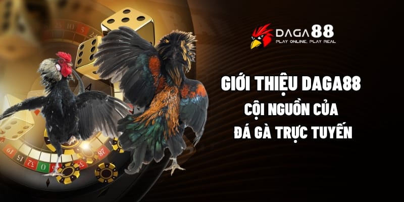 Giới Thiệu Daga88 - Cội Nguồn Của Đá Gà Trực Tuyến 1 Giới thiệu Daga88