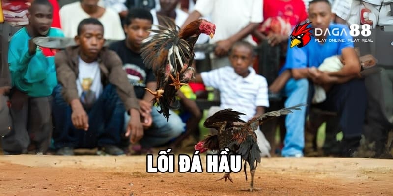 Lối Đá Hầu Đỉnh Cao Khiến Đối Thủ Không Kịp Trở Tay Tại DAGA88 1 Lối đá hầu